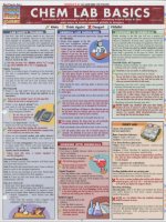 Quick study academic chem lab basics 600dpi