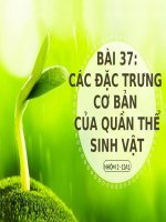 PowerPoint Presentation