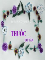 Bài Giảng Điện Tử Thuốc Lỗ Tấn