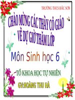 Bài Giảng Môn Sinh Học 6