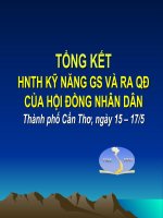 Tổng Kết HNTH Kỹ Năng Gs Và Ra Qđ Của Hội Đồng Nhân Dân Thành Phố Cần Thơ, Ngày 15 – 175