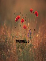 Bài Giảng Tạo Lập Và Quản Lý Mục Lục Thư Viện Tự Động Hoá