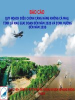 Báo Cáo Quy Hoạch Điều Chỉnh Cảng Hàng Không Cà Mau, Tỉnh Cà Mau Giai Đoạn Đến Năm 2020 Và Định Hướng Đến Năm 2030