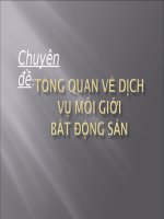 Chuyên Đề Tổng Quan Về Dịch Vụ Môi Giới Bất Động Sản