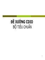 Đề Xướng CDIO Bộ Tiêu Chuẩn