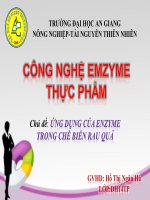Chủ Đề Ứng Dụng Của Enzyme Trong Chế Biến Rau Quả