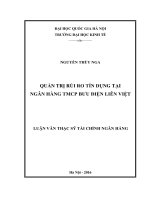 Quản trị rủi ro tín dụng tại Ngân hàng TMCP Bưu Điện Liên Việt