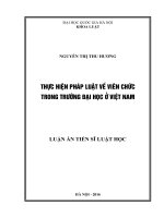 Thực hiện pháp luật về viên chức trong trường đại học ở Việt Nam