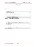 vothanhtruc thuyetminh vitdan 9 1