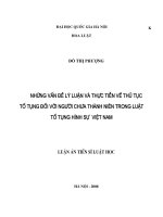 Những vấn đề lý luận và thực tiễn về thủ tục tố tụng đối với người chưa thành niên trong luật tố tụng hình sự Việt Nam