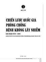 CHIẾN LƯỢC QUỐC GIA PHÒNG CHỐNG BỆNH KHÔNG LÂY NHIỄM GIAI ĐOẠN 2015 - 2025