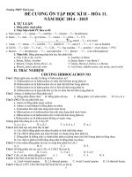 Đề Cương Ôn Tập Học Kì II Hóa 11