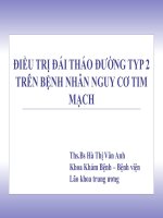 ĐIỀU TRỊ ĐÁI THÁO ĐƯỜNG TYP 2 TRÊN BỆNH NHÂN NGUY CƠ TIM MẠCH