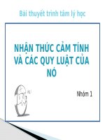 Bài thuyết trình tâm lý học nhận thức cảm tính và các quy luật của nó
