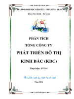 PHÂN TÍCH TỔNG CÔNG TY PHÁT TRIỂN ĐÔ THỊ KINH BẮC (KBC)