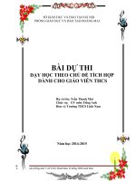 bài dự thi theo chủ đề tích hợp giáo viên thcs môn tiếng anh