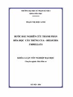 Khoá luận tốt nghiệp bước đầu nghiên cứu thành phần hóa học cây trứng cua – melochia umbellata 