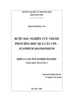 Khoá luận tốt nghiệp bước đầu nghiên cứu thành phần hóa học quả cây ươi – scaphium macropodum 