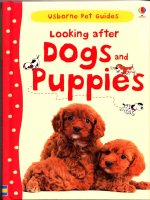 Looking after dogs and puppies (pet guides)(chăm sóc thú cưng)