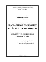 Khoá luận tốt nghiệp khảo sát thành phần hóa học lá cây kháo phoebe tavoyana 