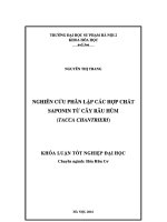 Khoá luận tốt nghiệp nghiên cứu phân lập các hợp chất saponin từ cây râu hùm (tacca hantrieri) 
