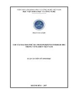 Luận án tiến sĩ Chi tảo hai roi phù du Protoperidinium Bergh 1881 trong vùng biển Việt Nam
