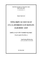 Tổng hợp các dẫn xuất của 3 hydroxy lup 20(29) en 23,28 dioic axit (34) 