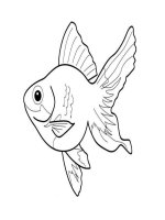 Sách tập tô hình con cá