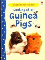 Looking after guinea pigs (pet guides)(howell l)(chăm sóc thú cưng) 2013