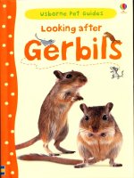 Looking after gerbils (pet guides)(howell l)(chăm sóc thú cưng)