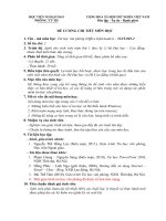 Đề cương chi tiết môn học Tin học văn phòng (Học viện Ngoại giao Việt Nam)