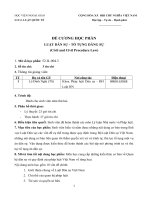 Đề cương chi tiết môn học Luật dân sự, tố tụng dân sự (Học viện Ngoại giao Việt Nam)