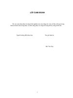 Luận án tiến sĩ Điều khiển bộ biến đổi đa bậc nguồn áp ứng dụng trong các nguồn điện phân tán có nối lưới