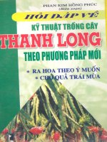 Hỏi đáp kỹ thuật trồng thanh long theo phương pháp mới