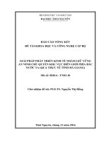 Giải pháp phát triển kinh tế nhằm giữ vững an ninh chủ quyền khu vực biên giới phía Bắc nước ta  (qua thực tế tỉnh  Hà Giang)