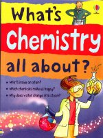 Whats chemistry all about (Frith a)