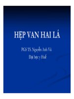 tai liệu HẸP VAN HAI LÁ