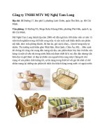 bài báo cáo thuyết trình  môn Sản xuất sạch hơn của một doanh nghiệp về ngành song mây