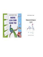 Hướng dẫn vẽ các loài chim