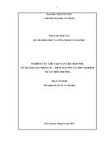Nghiên cứu chế tạo vật liệu hấp phụ từ quặng sắt trại cau – thái nguyên và thử nghiệm xử lý môi trường (tt)