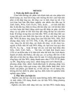Nghiên cứu chế tạo và khảo sát các đặc trưng nhạy khí của vật liệu nano WO3 tổ hợp với các oxit kim loại (CuO, ZnO, Fe2O3)