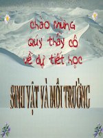 Bài giảng sinh học 9 môi trường và các nhân tố sinh thái (2) 