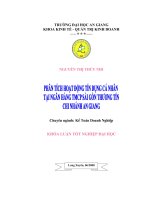 Phân Tích Hoạt Động Tín Dụng Cá Nhân Tại Ngân Hàng TMCP Sài Gòn Thương Tín Chi Nhánh An Giang