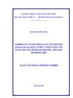 nghiên cứu tuyến trùng gây vết thương (pratylenchus sp ) hại cà phê và khả năng ứng dụng một số chế phẩm sinh học, hóa học để phòng trừ 