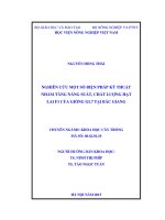 nghiên cứu một số biện pháp kỹ thuật nhằm tăng năng suất, chất lượng hạt lai f1 của giống gl7 tại bắc giang 