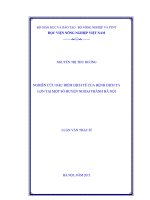 nghiên cứu đặc điểm dịch tễ của bệnh dịch tả lợn tại một số huyện ngoại thành hà nội 