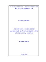 ảnh hưởng của vật liệu che phủ đến sinh trưởng, năng suất và chất lượng cây thuốc lá tại cao bằng 