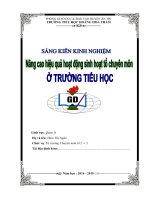 SKKN nâng cao hiệu quả hoạt động sinh hoạt tổ chuyên môn ở trường tiểu học