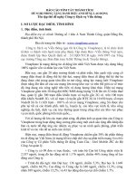 Báo Cáo Tóm Tắt Thành Tích Đề Nghị Phong Tặng Danh Hiệu Anh Hùng Lao Động Công Ty Dịch Vụ Viễn Thông Vinaphone