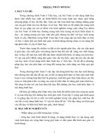 SKKN Chỉ Đạo Nâng Cao Hiệu Quả Các Tiết Dạy Về Diện Tích Hình Tam Giác, Hình Thang